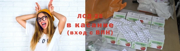 винт Аркадак