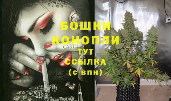стафф Армянск