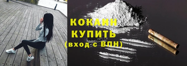 сатива Арсеньев