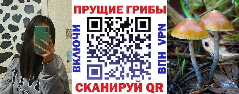 Галлюциногенные грибы прущие грибы это как зайти Югорск